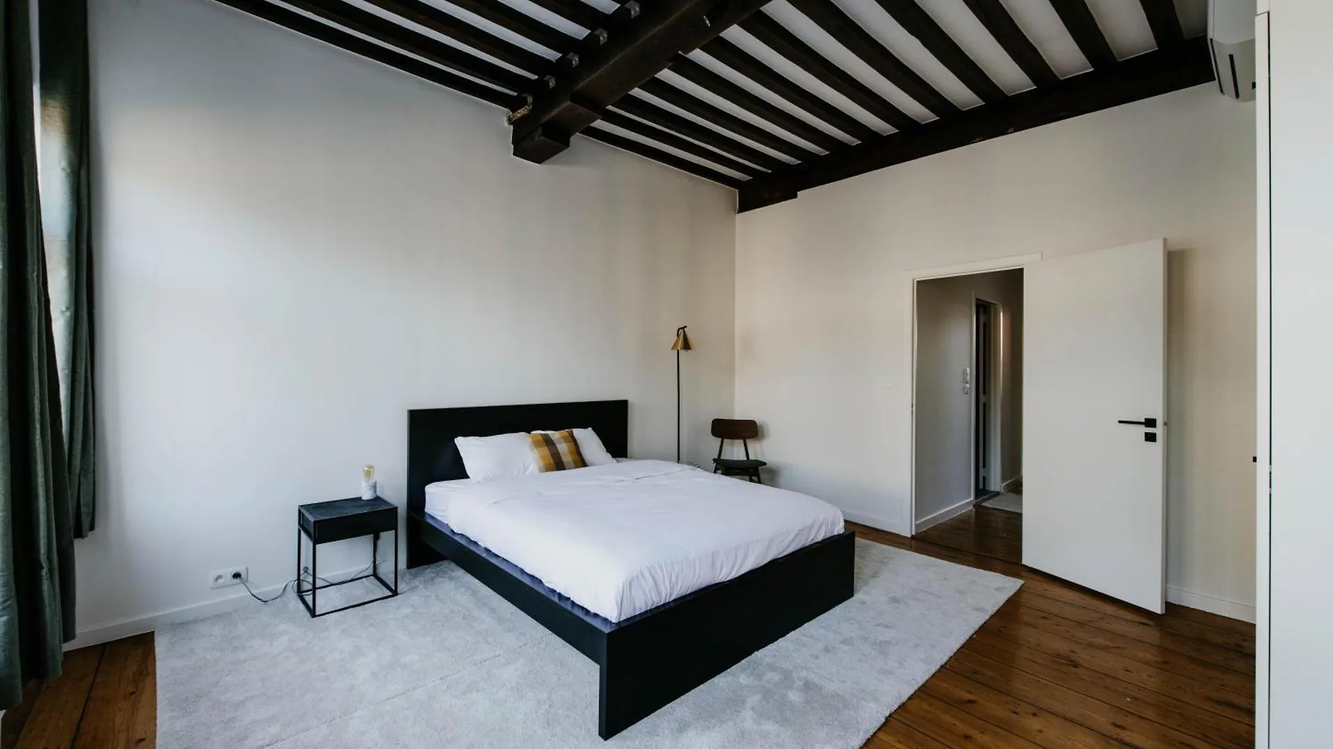Gorgeous Duplex Apartment In Old City Centre Antverpy