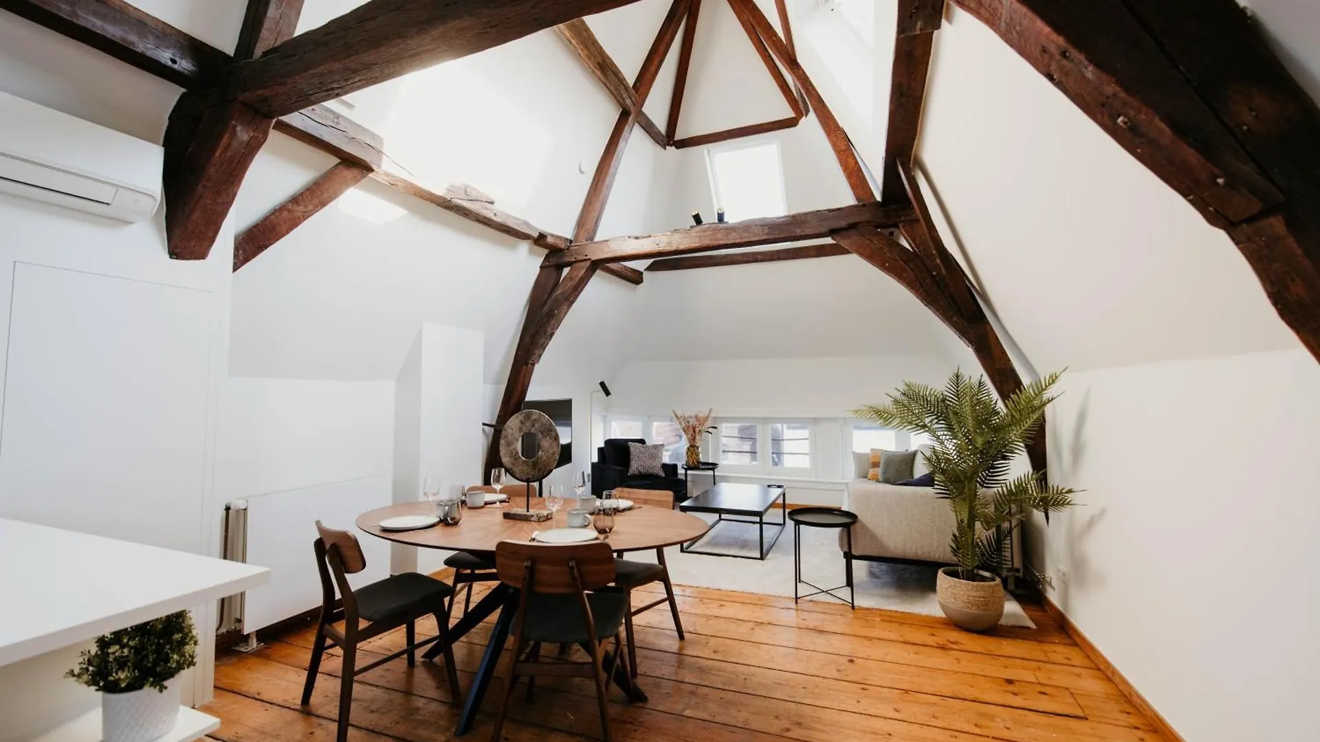 Gorgeous Duplex Apartment In Old City Centre Antwerpen België